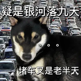疑是银河落九天，堵车又是老半天 二哈 返程 堵车 搞笑文案