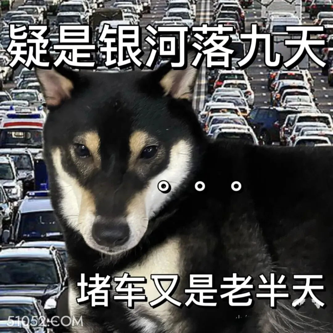 疑是银河落九天，堵车又是老半天 二哈 返程 堵车 搞笑文案
