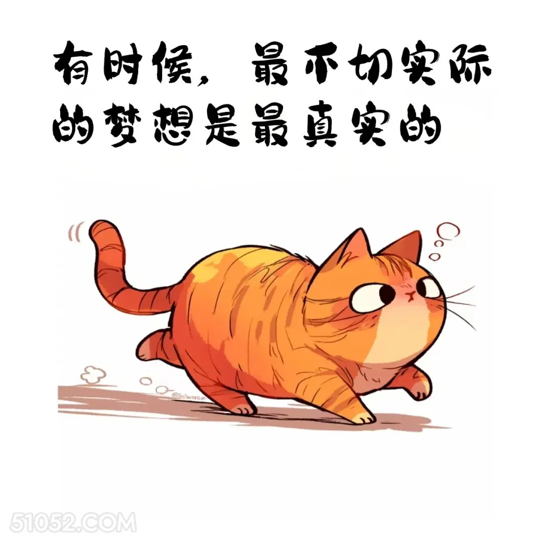 有时最不切实际的梦想最真实 猫猫 歪理 走心文案