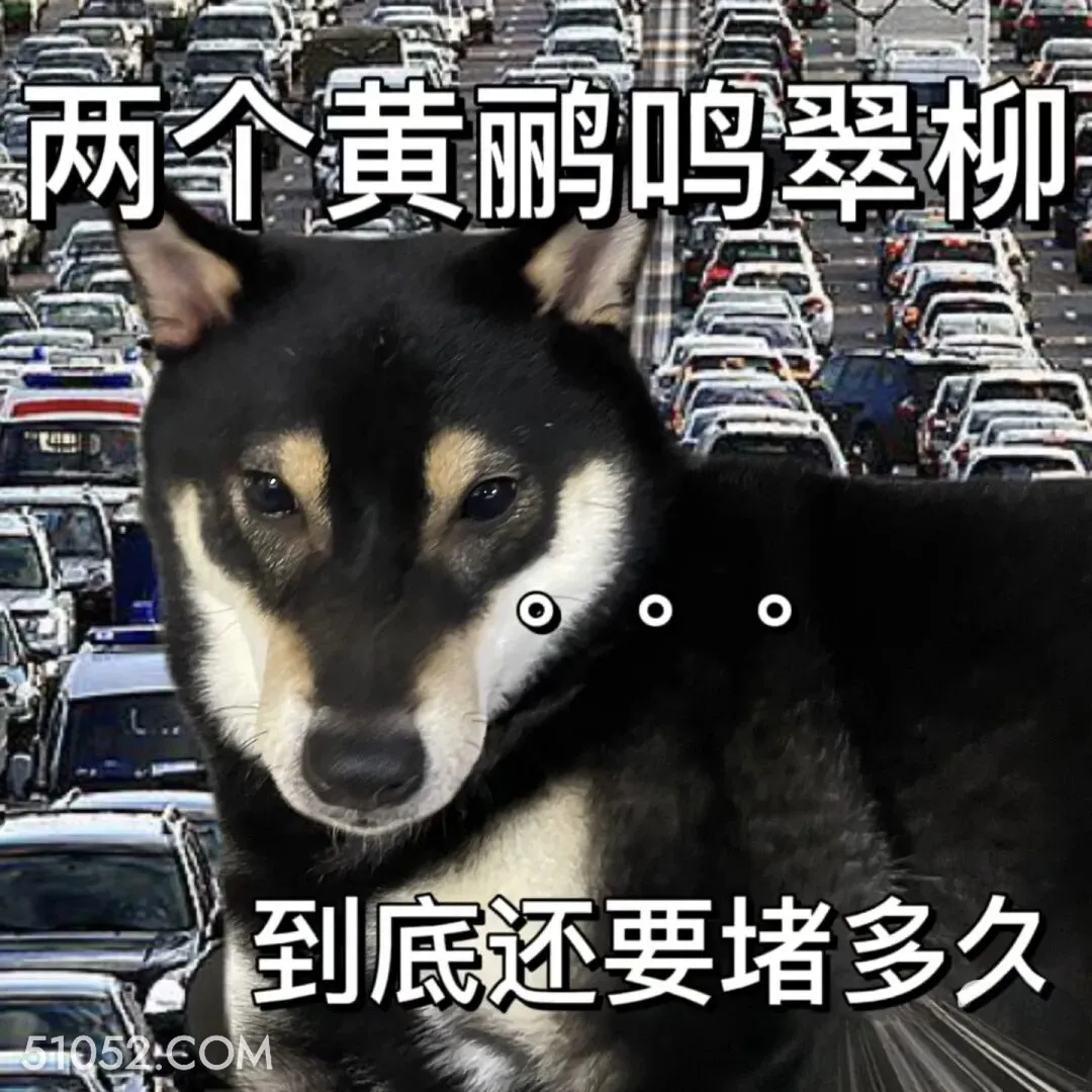 两个黄鹂鸣翠柳，到底还要堵多久 二哈 返程 堵车 搞笑文案