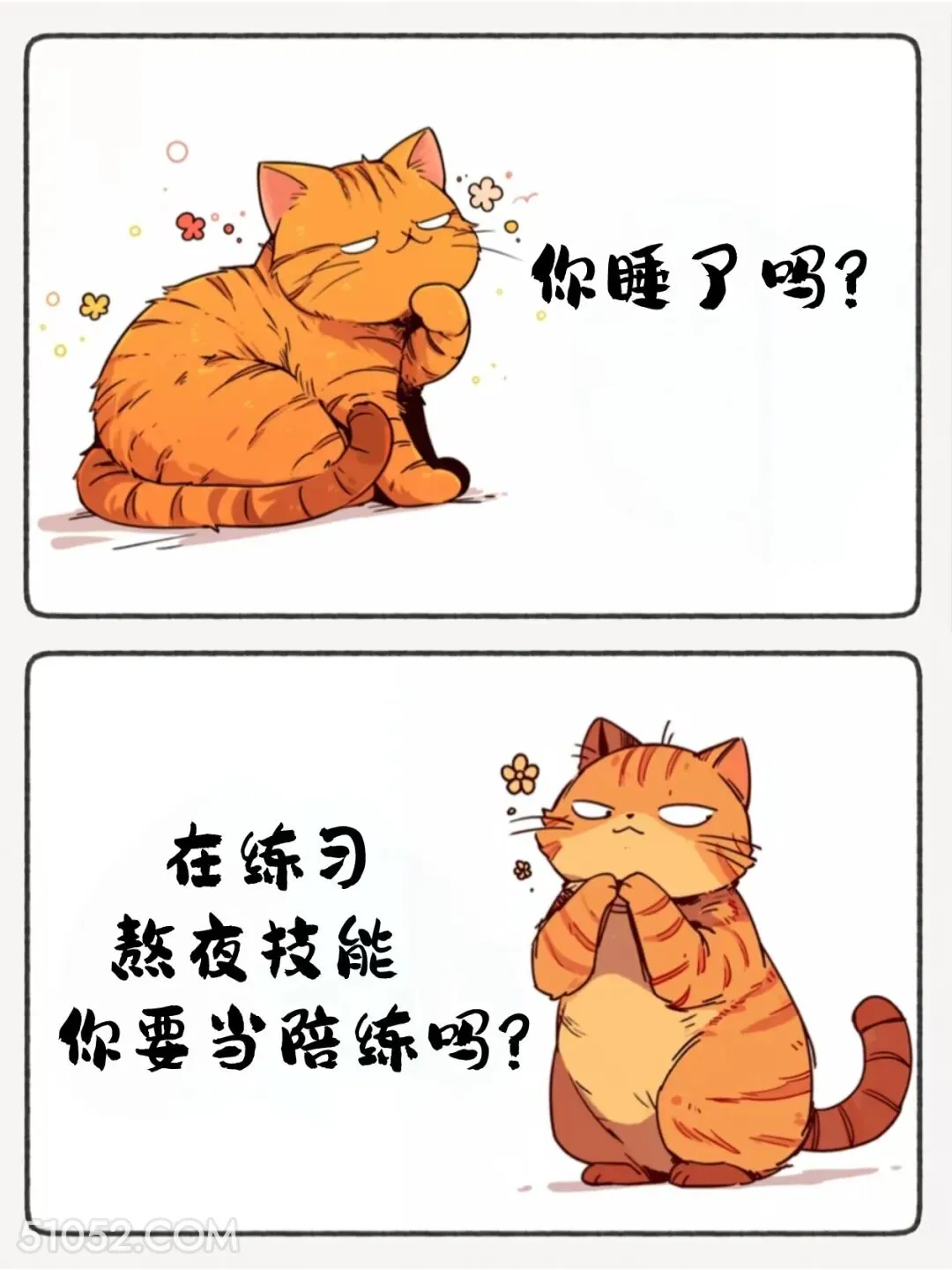 在练习熬夜技能，你要当陪练吗 猫猫 睡了吗 神回复 搞笑文案