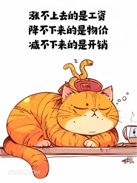 涨不上去的是工资，减不下来的是开销 猫猫 发工资啦 打工人 搞笑文案