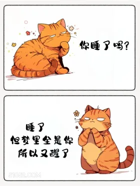 睡了，梦里全是你，又醒了 猫猫 睡了吗 神回复 搞笑文案