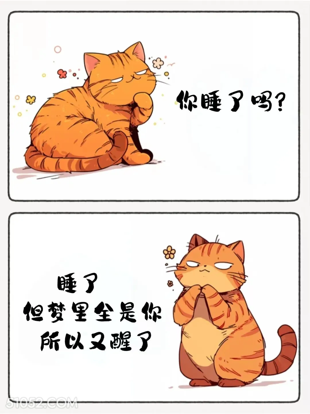 睡了，梦里全是你，又醒了 猫猫 睡了吗 神回复 搞笑文案