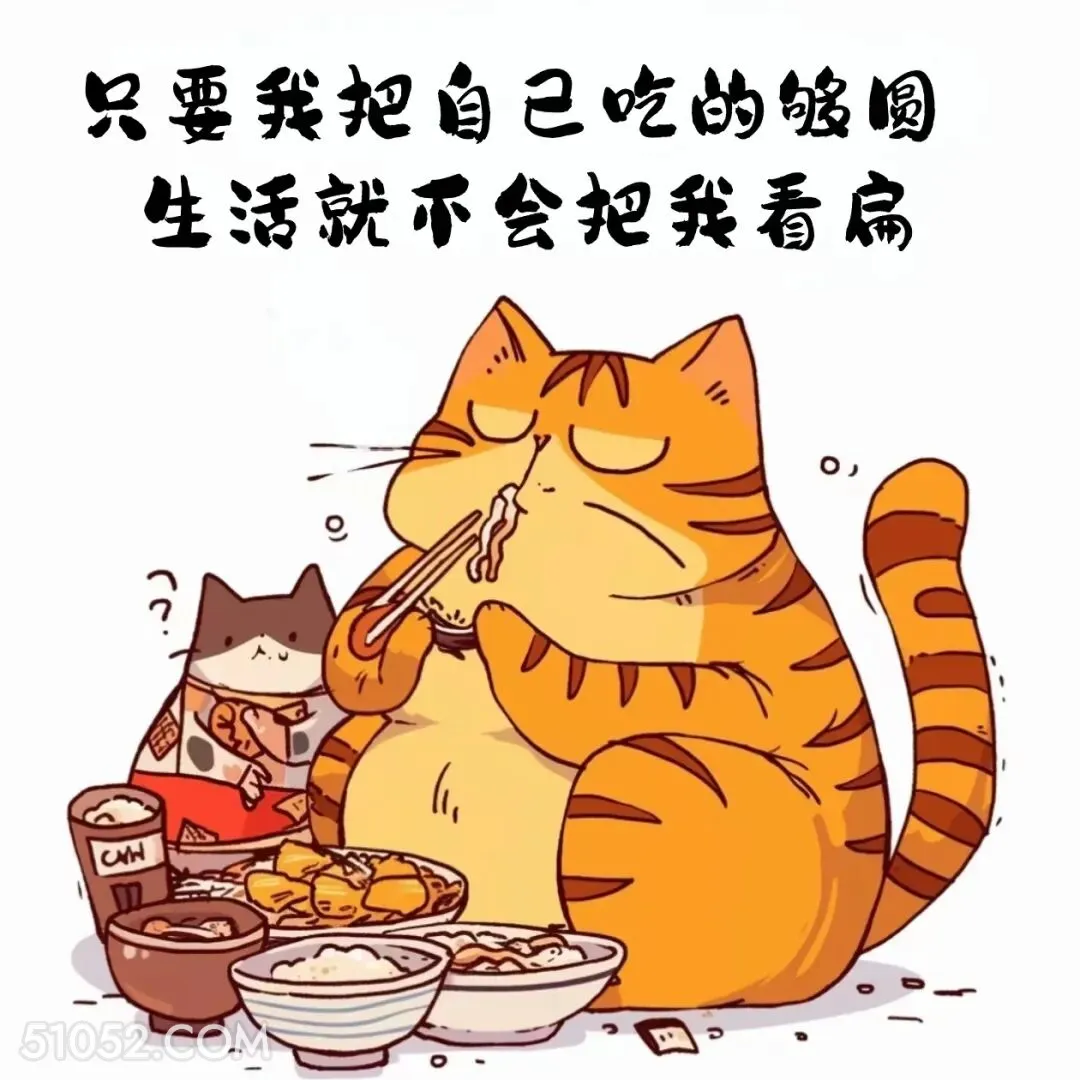 只要把自己吃的够圆，生活就不会把我看扁 猫猫 有梗 搞笑文案