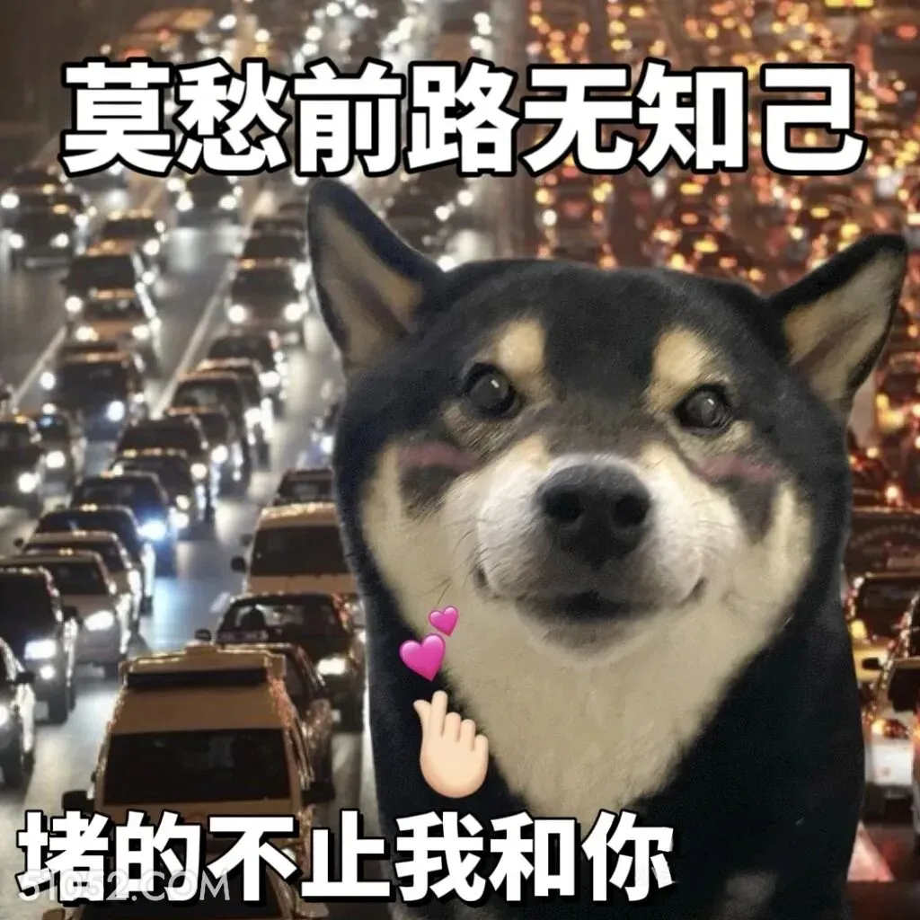 莫愁前路无知己，堵的不止我和你 二哈 返程 堵车 搞笑文案