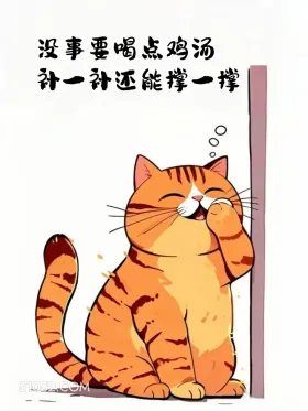 没事要喝点鸡汤，补一补还能撑一撑 猫猫 歪理 走心文案