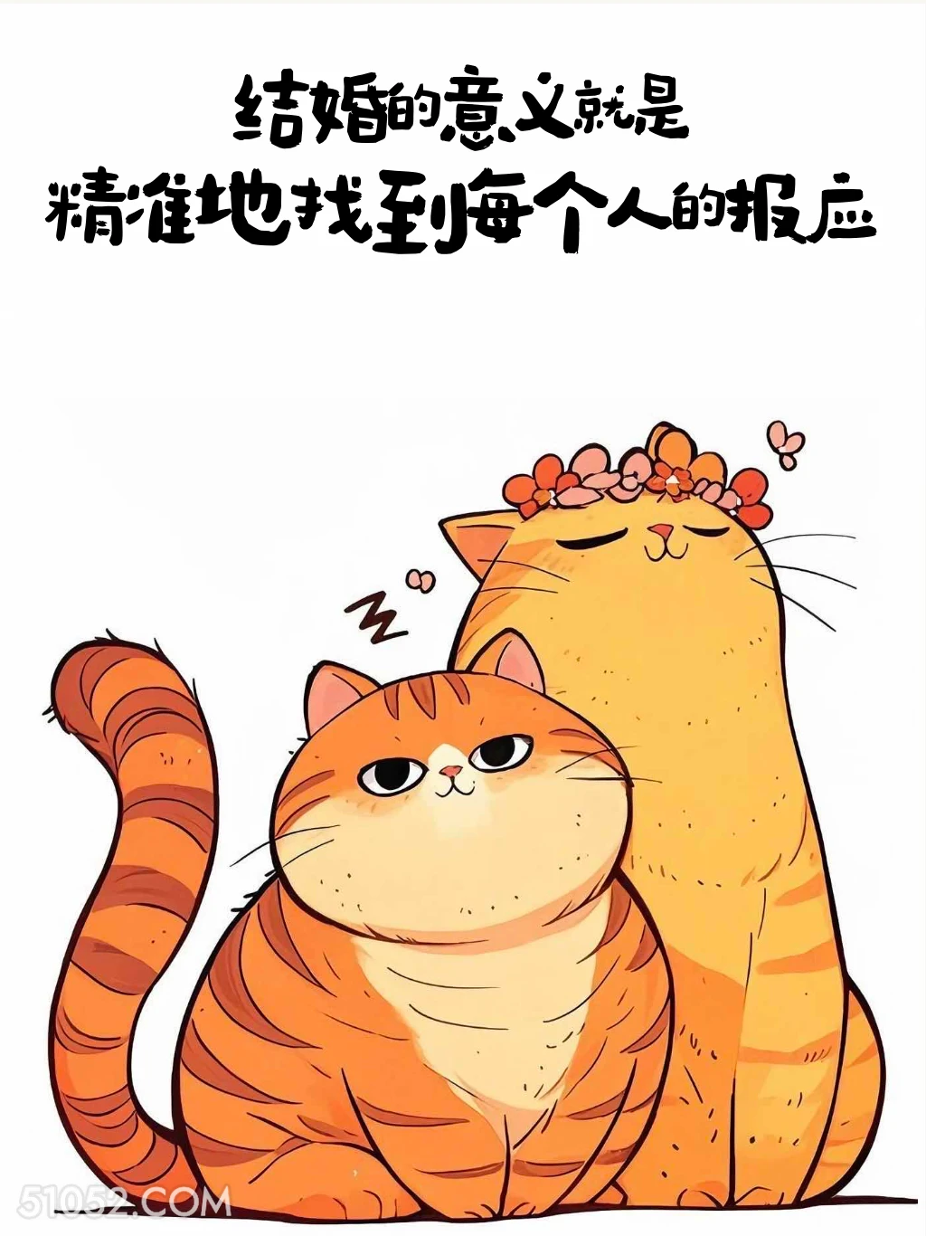 结婚的意义就是精准找到每个人的报应 猫猫 歪理 走心文案