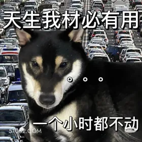 天生我材必有用，一个小时都不动 二哈 返程 堵车 搞笑文案