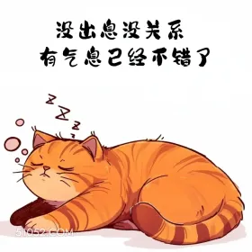 句句不提搞笑句句是梗 猫猫 有梗 搞笑文案