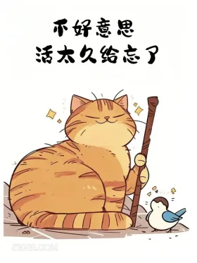 不好意思，活太久忘了 猫猫 你多大了 神回复 搞笑文案