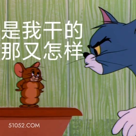 是我干的 那又怎样 猫和老鼠 动画片 杰瑞 汤姆猫 搞笑表情