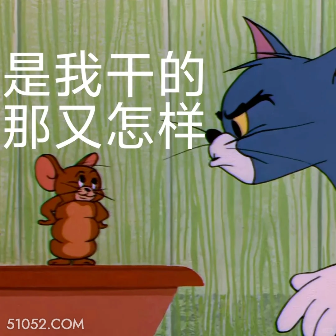 是我干的 那又怎样 猫和老鼠 动画片 杰瑞 汤姆猫 搞笑表情