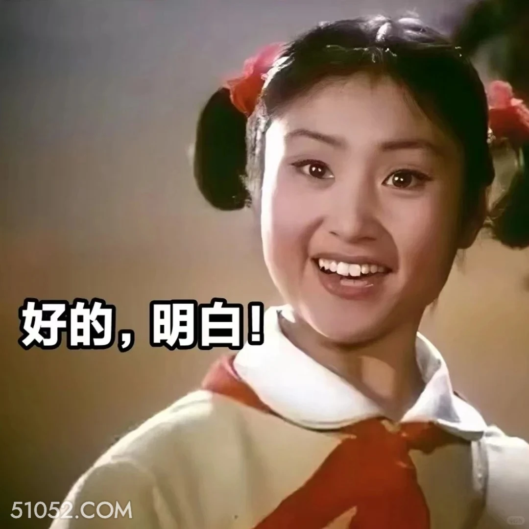 好的，明白 渡口 样板戏 小燕 打工人 搞笑表情