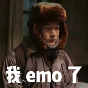 我emo了 父辈的荣耀 影视剧 张晚意 搞笑表情