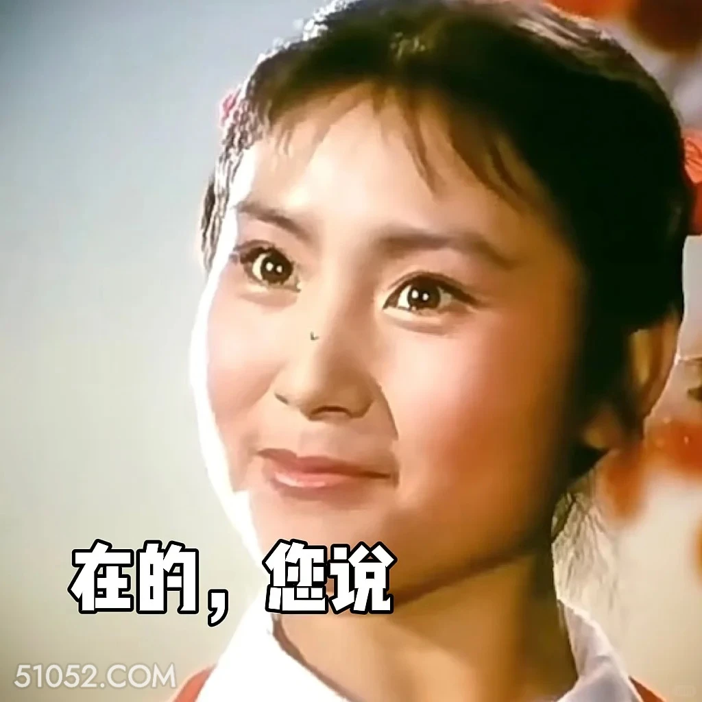 在的，您说 渡口 样板戏 小燕 打工人 搞笑表情