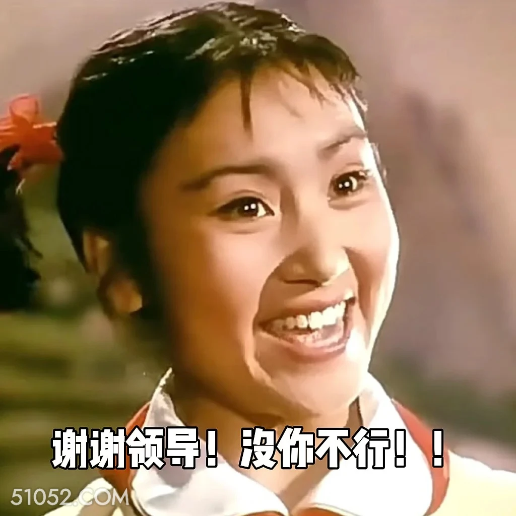 谢谢领导，没你不行 渡口 样板戏 小燕 打工人 搞笑表情