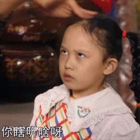 你瞎听啥呀 父辈的荣耀 影视剧 张晚意 搞笑表情