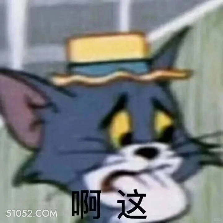 啊 这 猫和老鼠 杰瑞 汤姆猫 动画片 搞笑表情