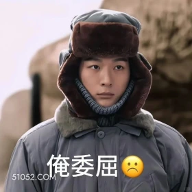 委屈 父辈的荣耀 影视剧 张晚意 搞笑表情