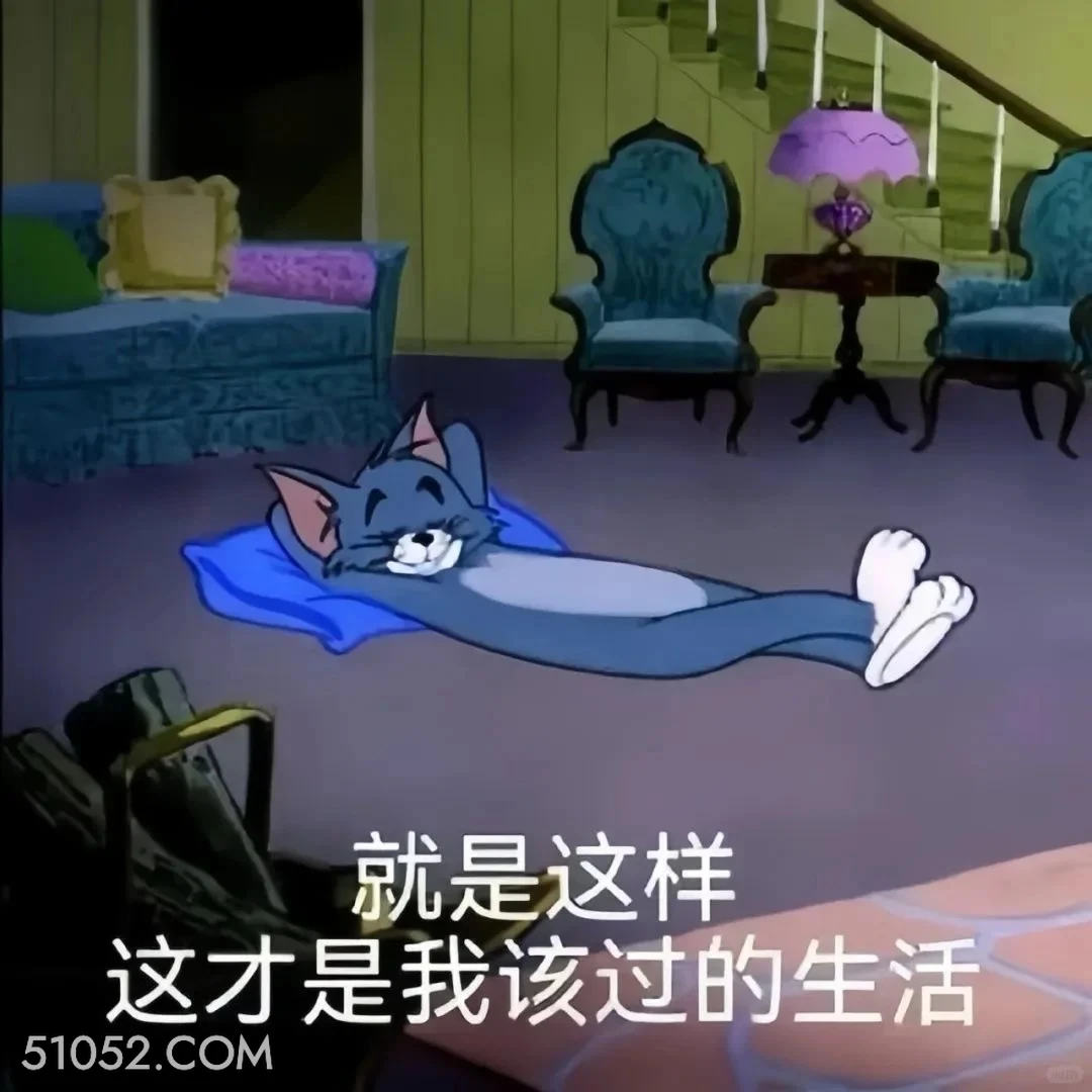 就是这样，这才是我该过的生活 猫和老鼠 动画片 杰瑞 汤姆猫 搞笑表情