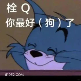 你最好（狗）了 猫和老鼠 杰瑞 汤姆猫 动画片 搞笑表情