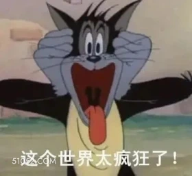 这个世界太疯狂了 猫和老鼠 动画片 杰瑞 汤姆猫 搞笑表情