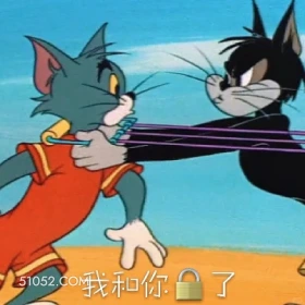 我和你锁了 猫和老鼠 动画片 汤姆猫 杰瑞 搞笑表情