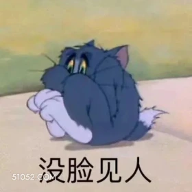 猫和老鼠 猫和老鼠 动画片 汤姆猫 杰瑞 搞笑表情