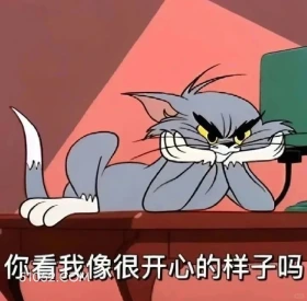 你看我像开心的样子吗 猫和老鼠 动画片 杰瑞 汤姆猫 搞笑表情