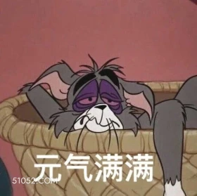 元气满满 猫和老鼠 动画片 杰瑞 汤姆猫 搞笑表情