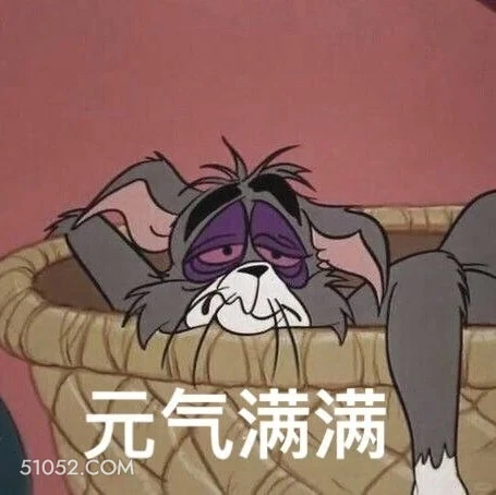 元气满满 猫和老鼠 动画片 杰瑞 汤姆猫 搞笑表情
