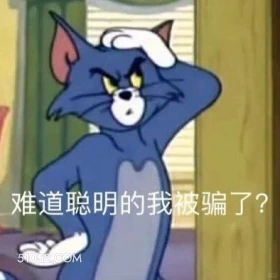 猫和老鼠 猫和老鼠 动画片 杰瑞 汤姆猫 搞笑表情