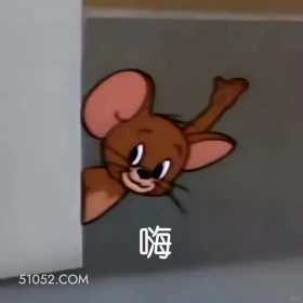 嗨 猫和老鼠 动画片 汤姆猫 杰瑞 搞笑表情