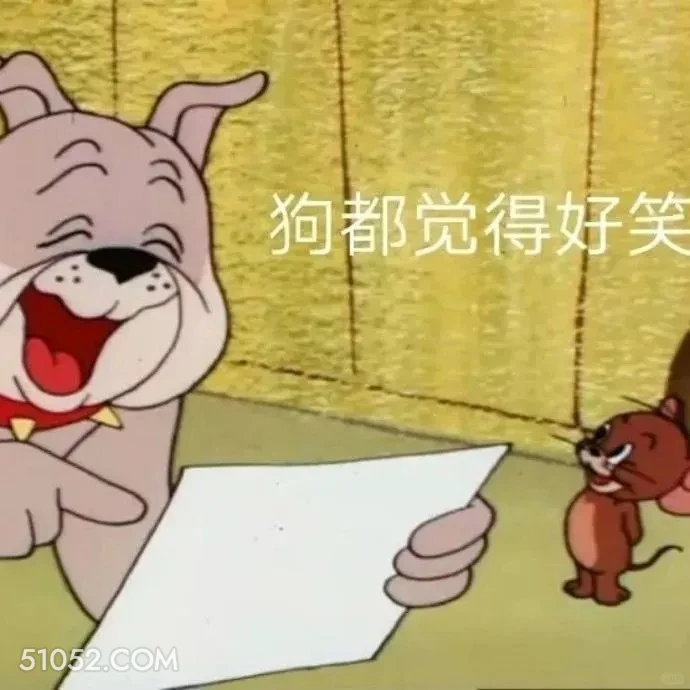 狗都觉得好笑 猫和老鼠 动画片 汤姆猫 杰瑞 搞笑表情