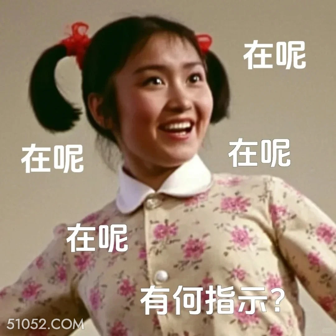 在呢，有何指示 渡口 样板戏 小燕 打工人 搞笑表情