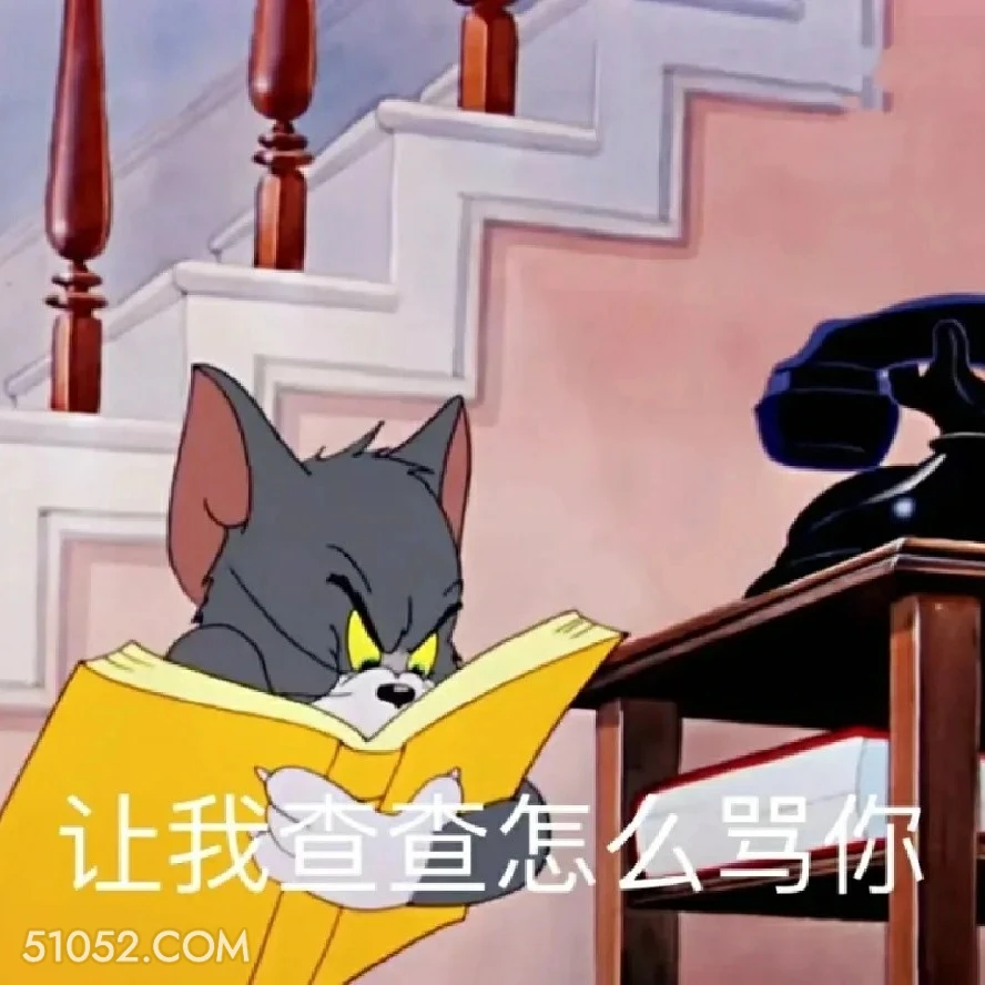 让我查查怎么骂你 猫和老鼠 动画片 杰瑞 汤姆猫 搞笑表情