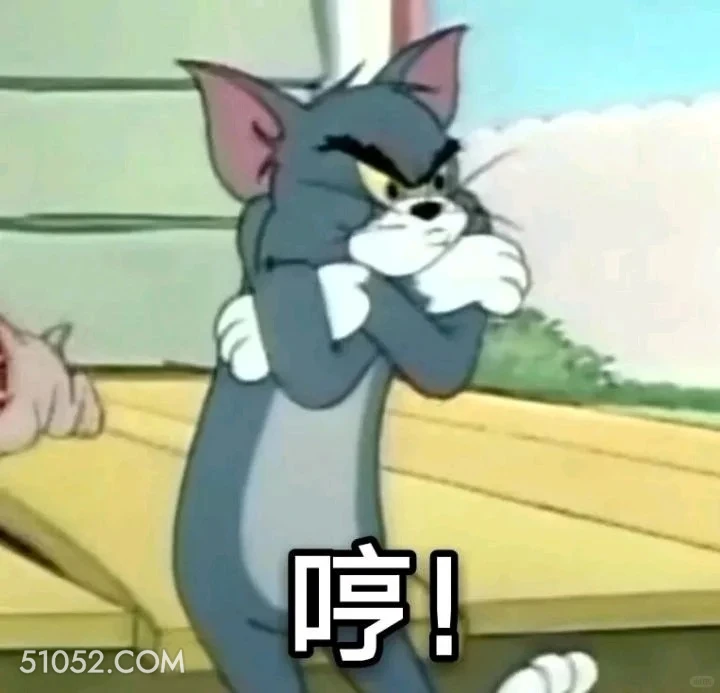 哼 猫和老鼠 杰瑞 汤姆猫 动画片 搞笑表情