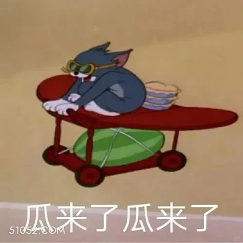 瓜来了瓜来了 猫和老鼠 动画片 汤姆猫 杰瑞 搞笑表情