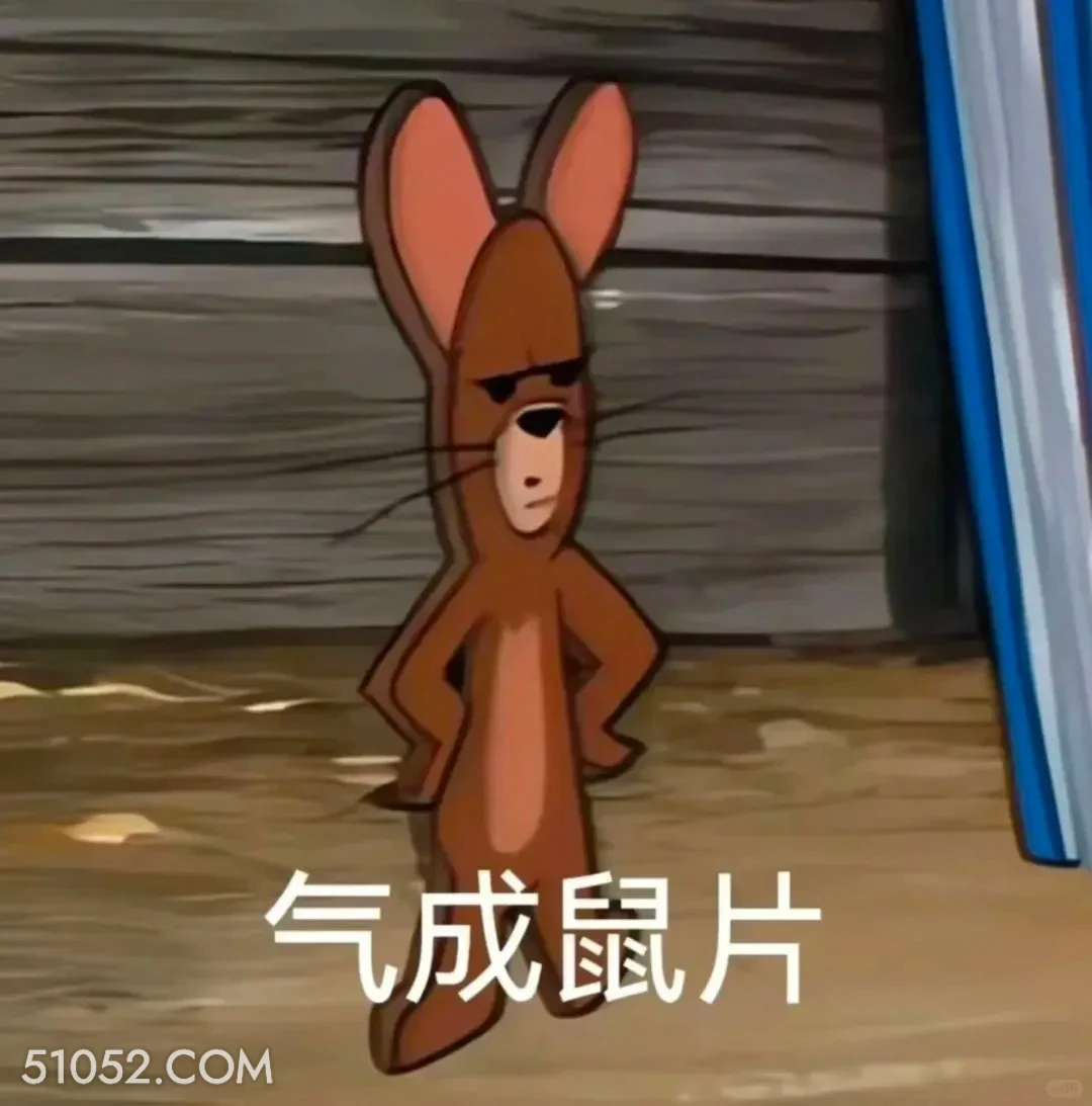 气成鼠片 猫和老鼠 动画片 杰瑞 汤姆猫 搞笑表情