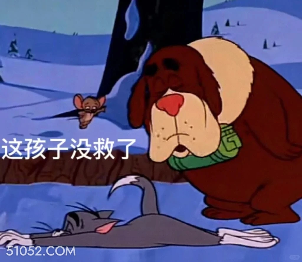 这孩子没救了 猫和老鼠 动画片 汤姆猫 杰瑞 搞笑表情