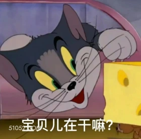 宝贝在干嘛 猫和老鼠 杰瑞 汤姆猫 动画片 搞笑表情