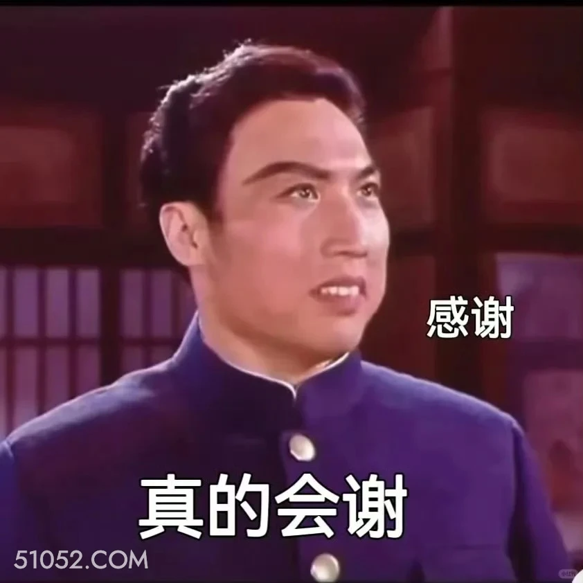 真的会谢 渡口 样板戏 小燕 打工人 搞笑表情