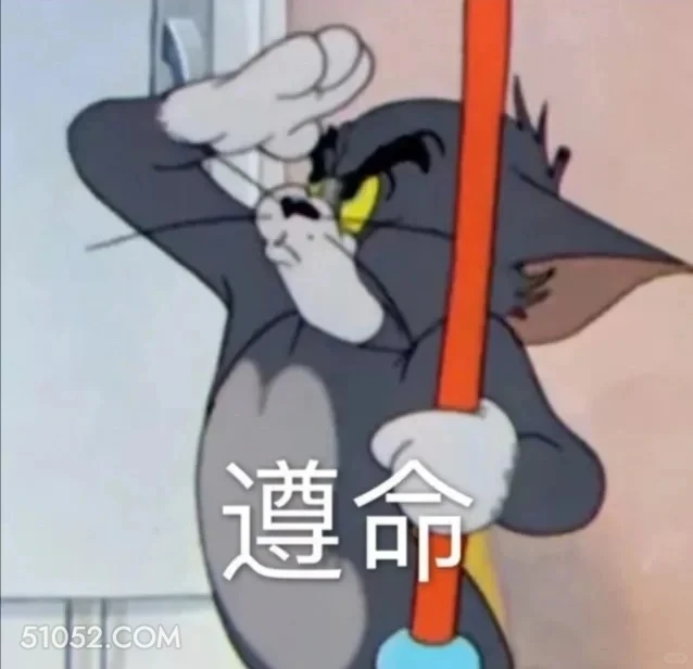 遵命 猫和老鼠 动画片 杰瑞 汤姆猫 搞笑表情