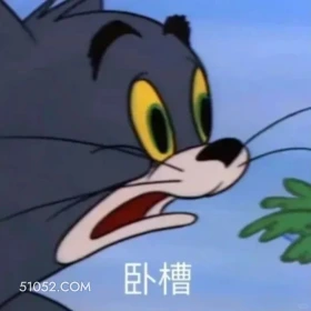 卧槽 猫和老鼠 动画片 杰瑞 汤姆猫 搞笑表情