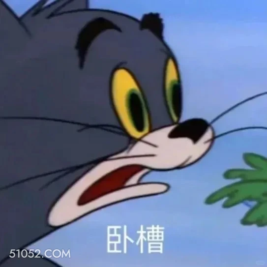 卧槽 猫和老鼠 动画片 杰瑞 汤姆猫 搞笑表情