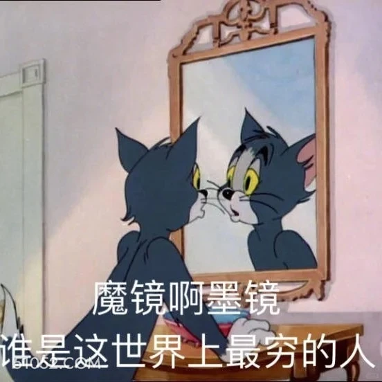 魔镜，谁是这世界上最穷的人 猫和老鼠 动画片 杰瑞 汤姆猫 搞笑表情