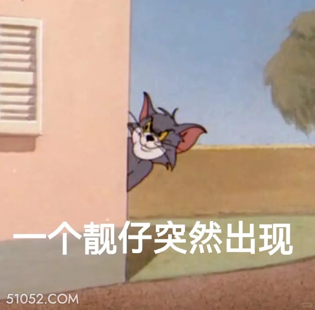 一个靓仔突然出现 猫和老鼠 动画片 汤姆猫 杰瑞 搞笑表情