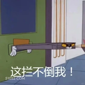 这拦不倒我 猫和老鼠 汤姆猫 杰瑞 动画片 搞笑表情