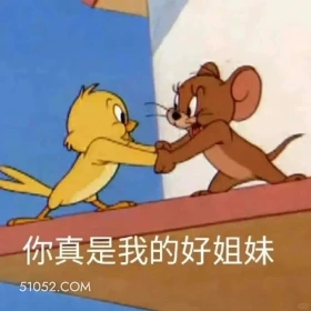 你真是我的好姐妹 猫和老鼠 动画片 杰瑞 汤姆猫 搞笑表情
